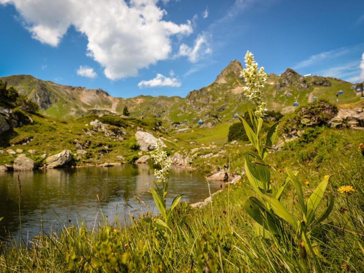 Holiday Home Steindlwald By Interhome ウンタータウエルン エクステリア 写真
